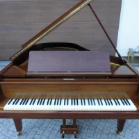 Usato, Grotrian Steinweg, 185