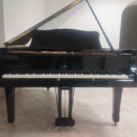 Gebraucht, Yamaha, C5