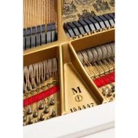 Nya, Steinway & Sons, M-170