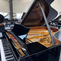 Occasion, Steinway & Sons, A-188