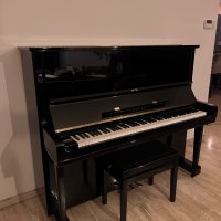 Occasion, Yamaha, U3