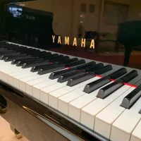 Used, Yamaha, C5