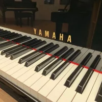 Usado, Yamaha, C2