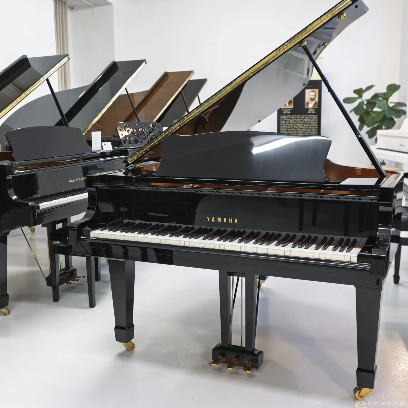 Yamaha Grand Piano Model C3 - Brilliant Sound and Modern Design