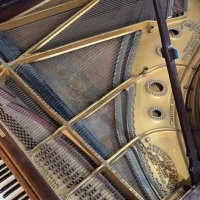 Occasion, Steinway & Sons, A-188