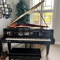 Gebruikte, Kawai, GM-10