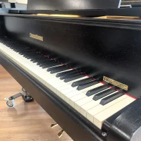 Usado, Grotrian Steinweg, 160