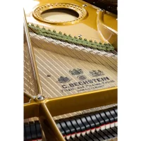 Usado, C. Bechstein, V 200