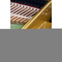 Usado, C. Bechstein, V 200