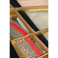 Used, Steinway & Sons, M-170