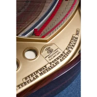 Occasion, Steinway & Sons, M-170