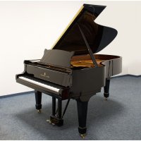 Occasion, Steinway & Sons, B-211