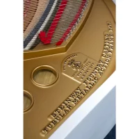 Occasion, Steinway & Sons, M-170