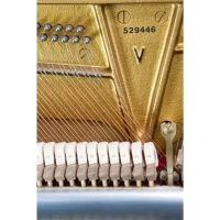 Gebruikte, C. Bechstein, A 124 (B 124) Style