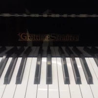 Gebruikte, Grotrian Steinweg, Andere