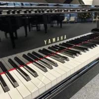 Yamaha Flügel, Modell GB1 