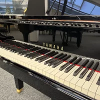 Yamaha Flügel, Modell C2X 