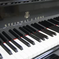 Occasion, Steinway & Sons, A-188