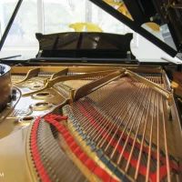 Occasion, Steinway & Sons, A-188