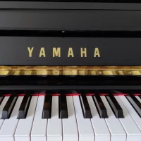 Gebruikte, Yamaha, UX3